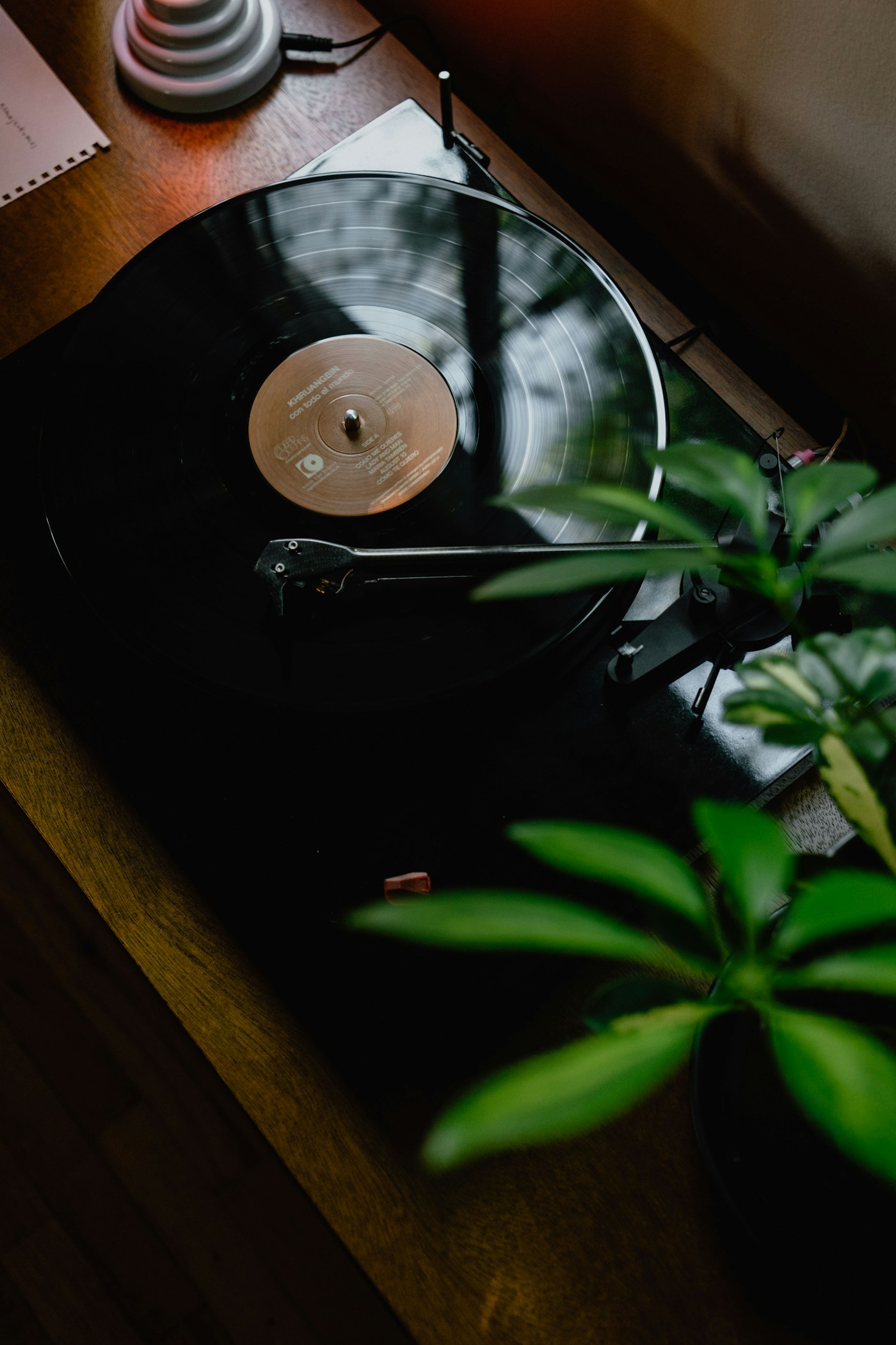 ada.wav's featured stream